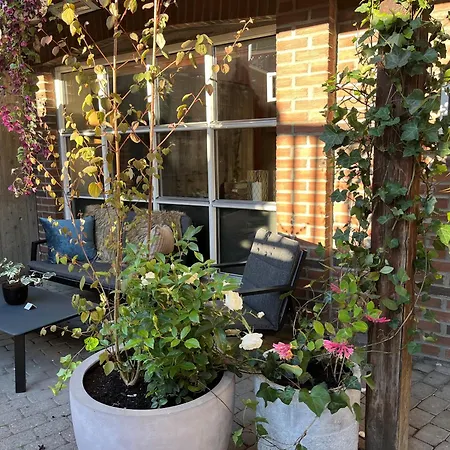 Aksjemollen - By Classic Norway