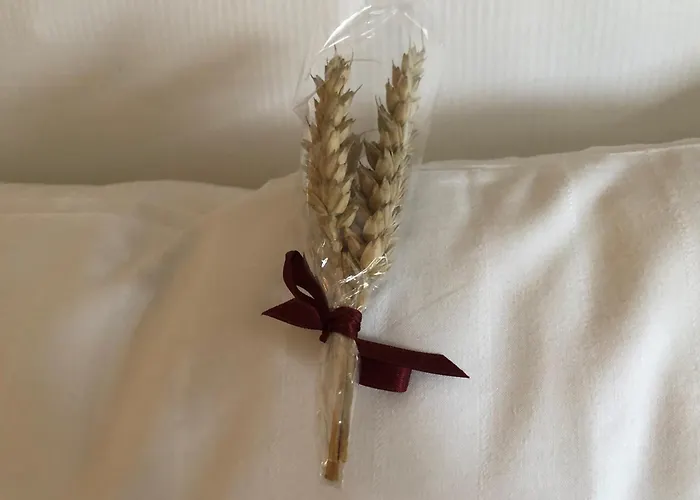 Aksjemollen - By Classic Norway فندق ليلّيهامّير