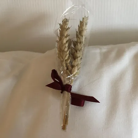 Aksjemollen - By Classic Norway Hotell Lillehammer